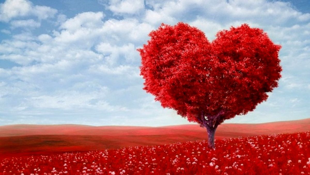 Привітання з Днем святого Валентина - вірші та проза на 14 лютого 