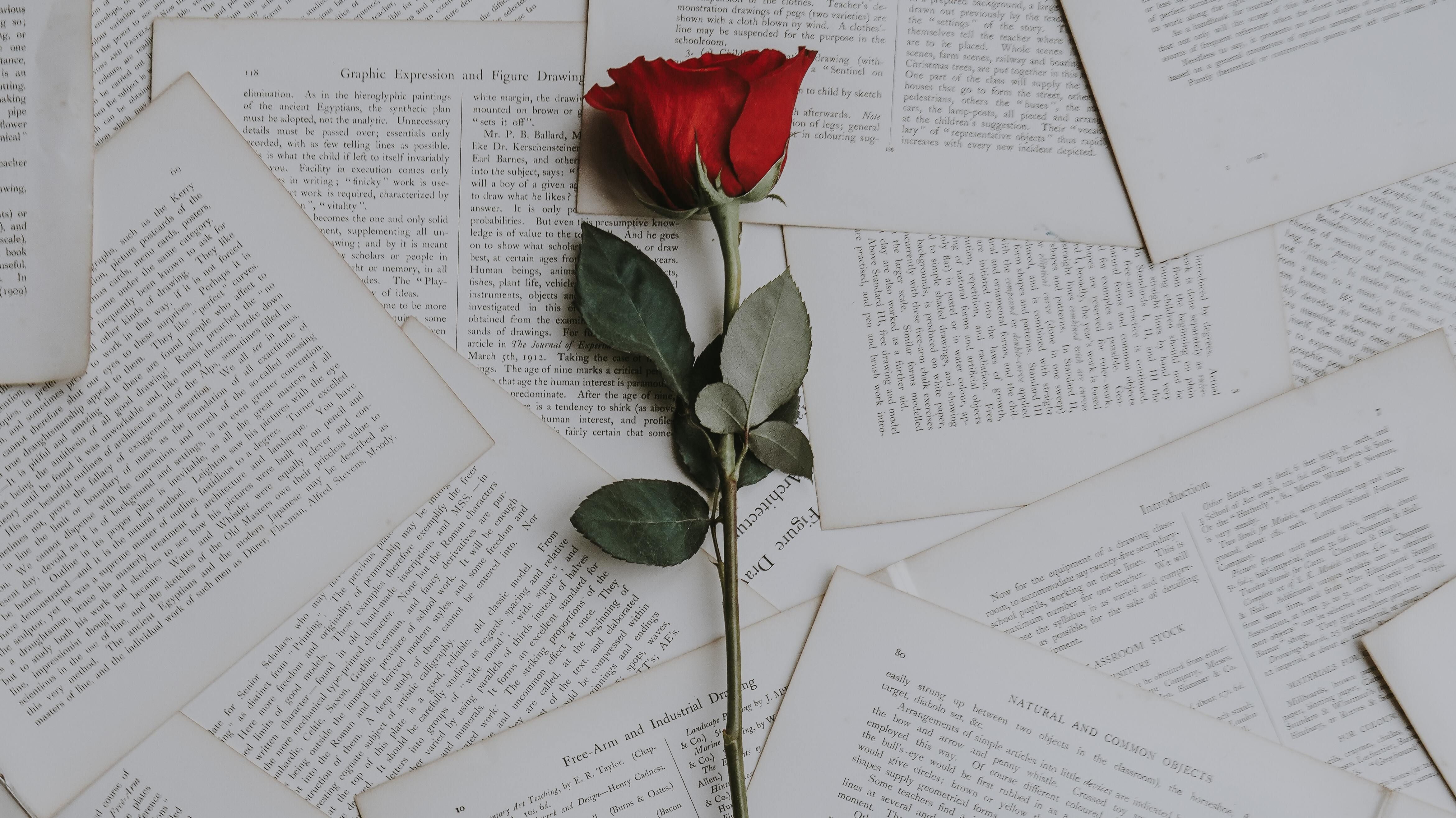 Не тільки День Валентина - 5 книжкових новинок про кохання