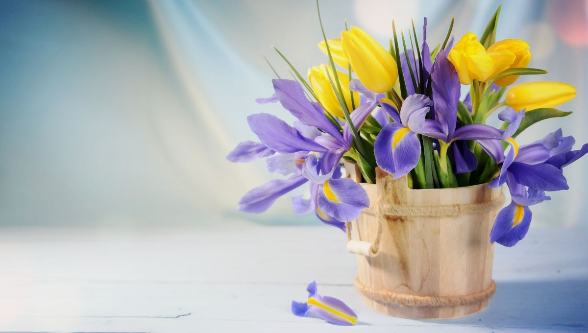 Як провести весну 2023 - цікаві ідеї для натхнення Як провести весну 2023 - цікаві ідеї для натхнення