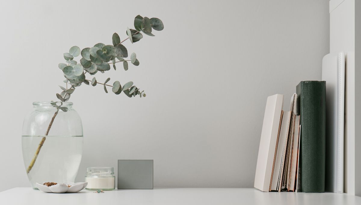 Що викинути з дому - поради як підготуватися до весни Що викинути з дому - поради як підготуватися до весни