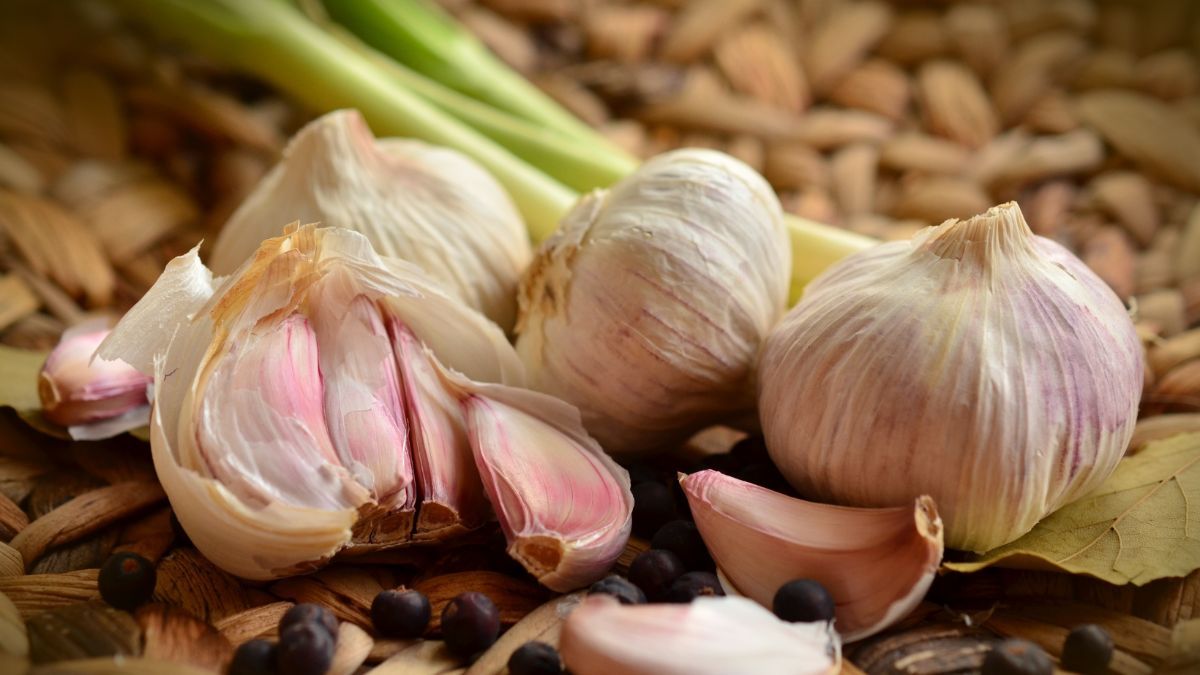 Як усунути запах часнику з рота – ефективні способи Як усунути запах часнику з рота – ефективні способи