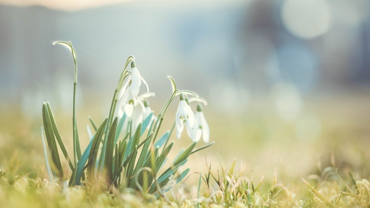 Выходные в марте 2023 – календарь важных праздников в военное время Выходные в марте 2023 – календарь важных праздников в военное время