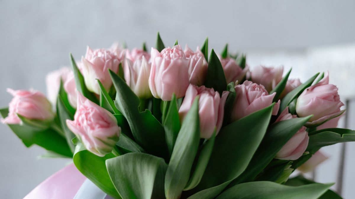 8 марта 2023 – картинки, поздравления с праздником для мамы 8 марта 2023 – картинки, поздравления с праздником для мамы