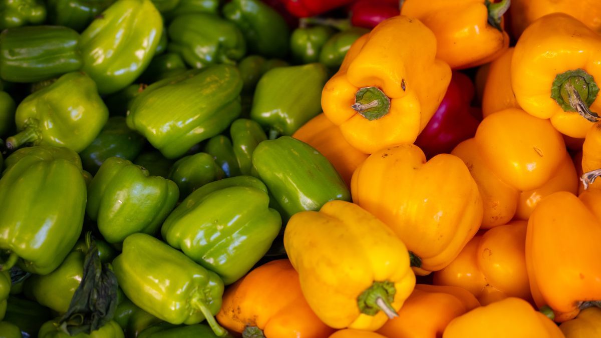 Розсада перцю - коли сіяти та як правильно садити весною Розсада перцю - коли сіяти та як правильно садити весною