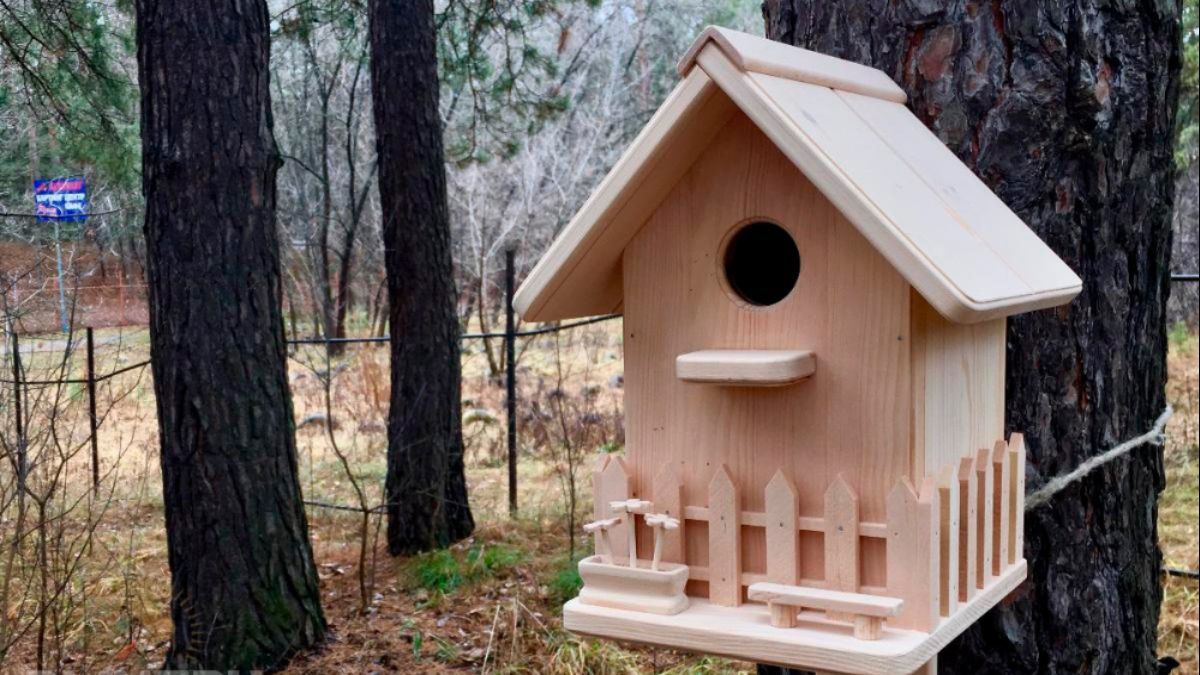 Як зробити шпаківню своїми руками та де її повісити - поради Як зробити шпаківню своїми руками та де її повісити - поради