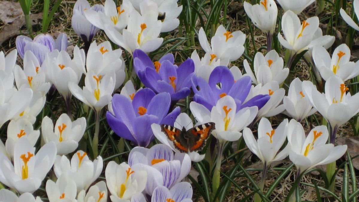 Яке сьогодні свято 18 березня – що не можна робити, прикмети Яке сьогодні свято 18 березня – що не можна робити, прикмети