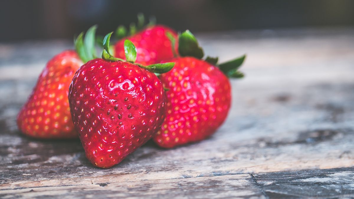 Як правильно сіяти полуницю на розсаду – поради для саду Як правильно сіяти полуницю на розсаду – поради для саду