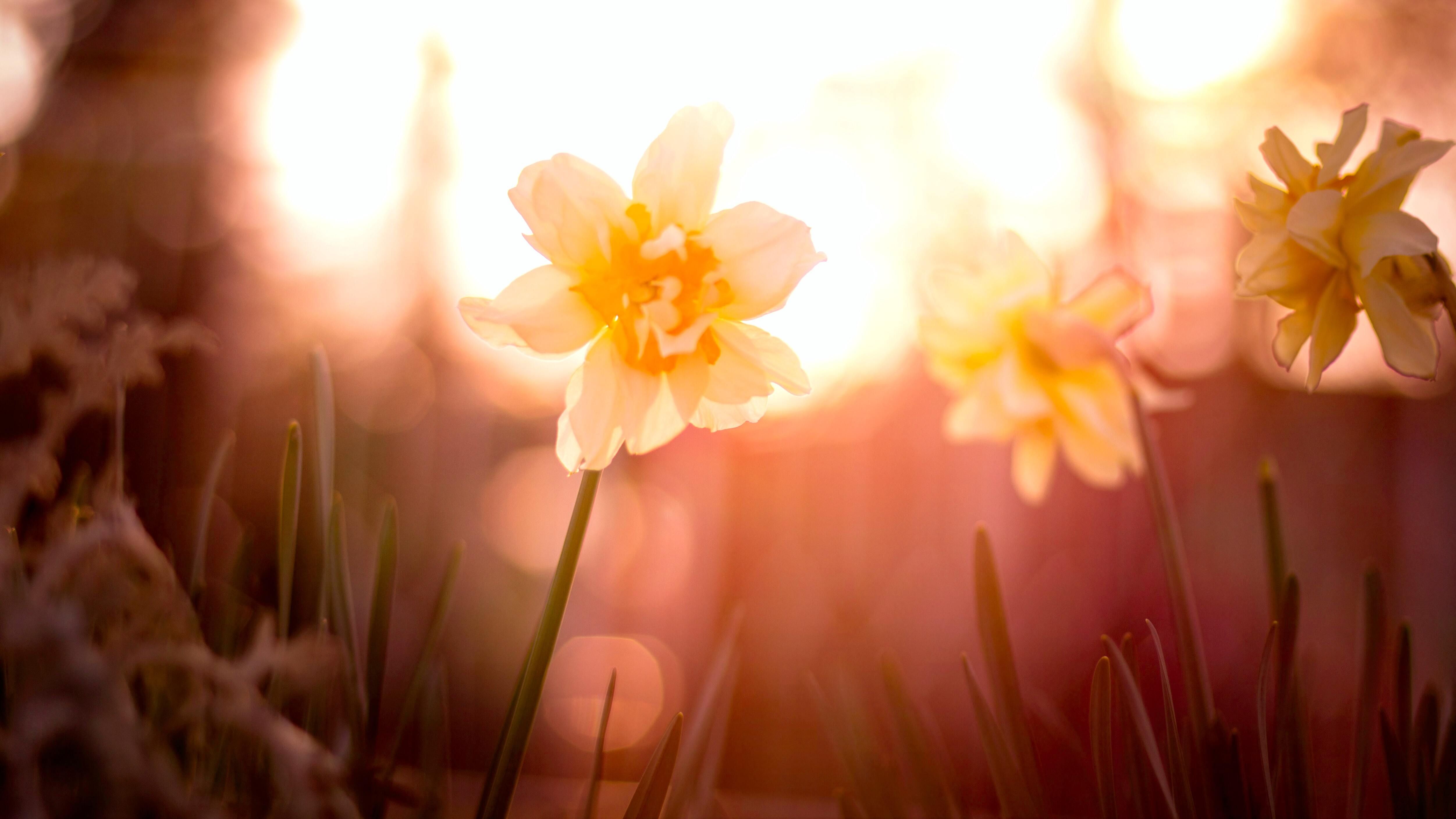 День весеннего равноденствия 2023 – 20 марта, традиции и приметы День весеннего равноденствия 2023 – 20 марта, традиции и приметы