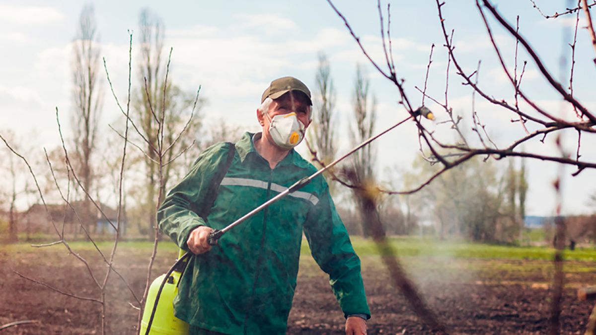 Опрыскивание сада весной – чем обработать плодовые деревья до цветения Опрыскивание сада весной – чем обработать плодовые деревья до цветения