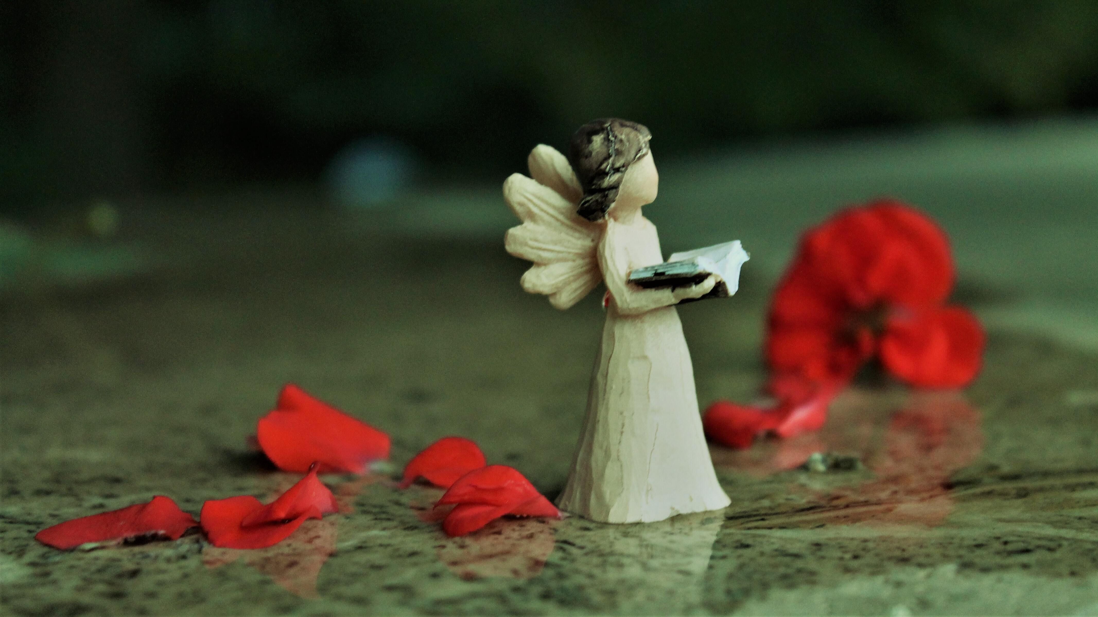 День ангела Валерия 2023 - картинки-поздравления с именинами День ангела Валерия 2023 - картинки-поздравления с именинами