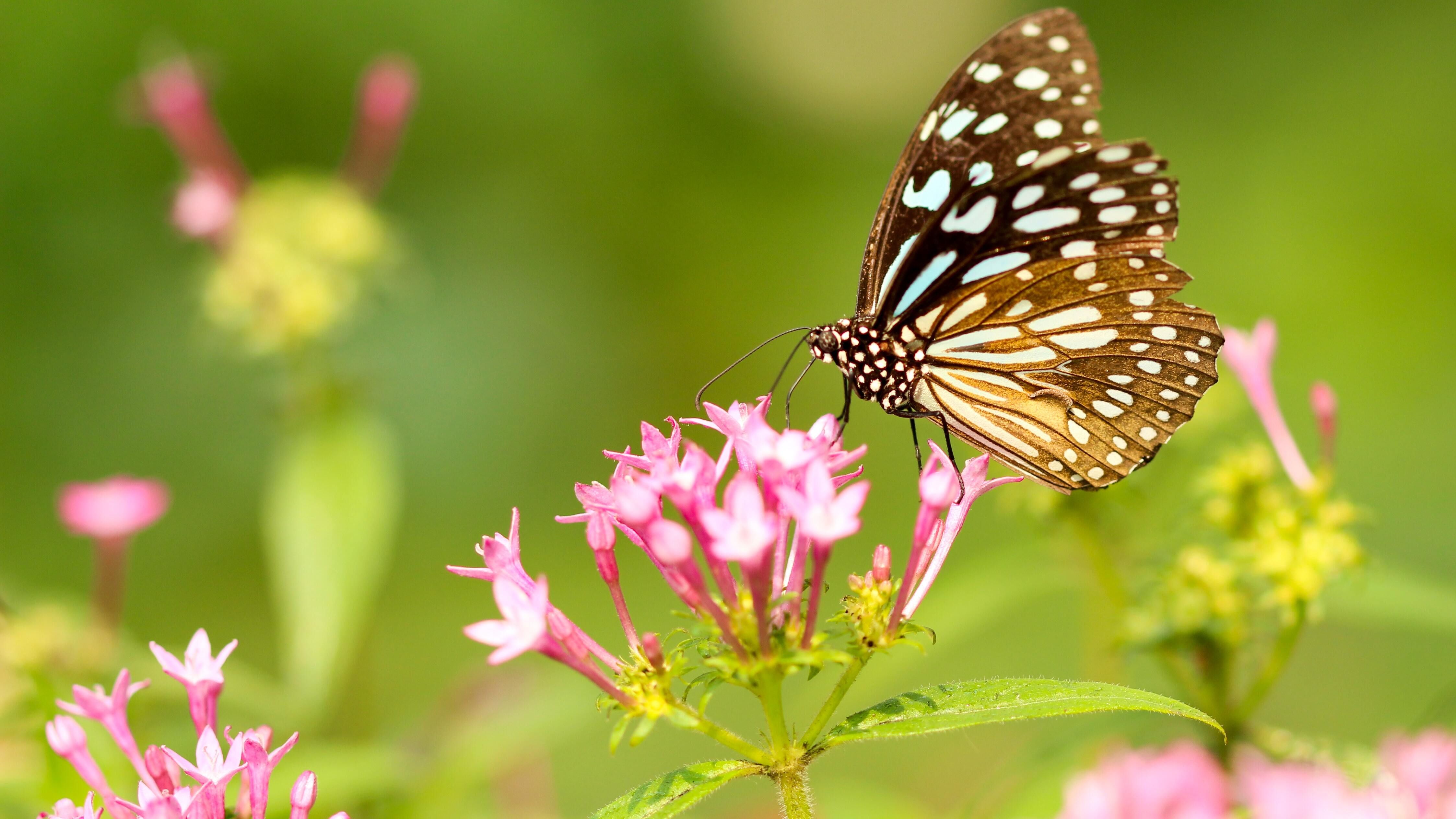24 березня - яке сьогодні свято і що не можна робити, прикмети і традиції 24 березня - яке сьогодні свято і що не можна робити, прикмети і традиції