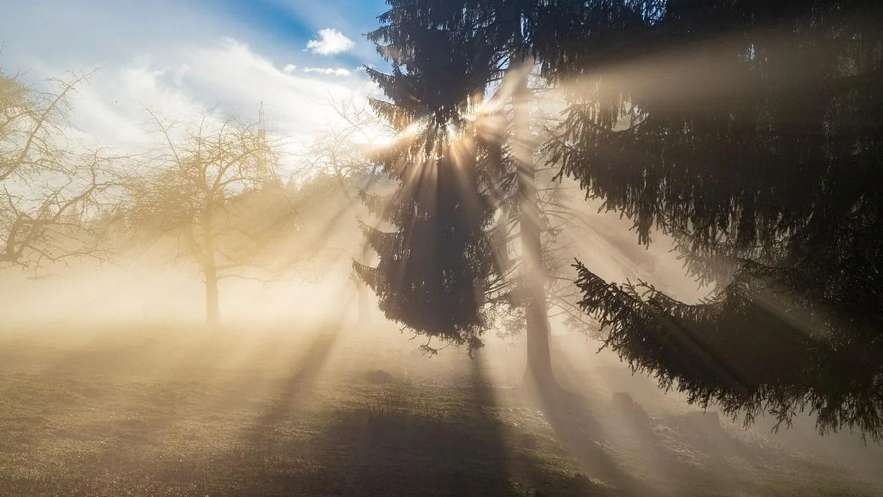 26 березня - яке сьогодні свято і що не можна робити, хто святкує іменини 26 березня - яке сьогодні свято і що не можна робити, хто святкує іменини