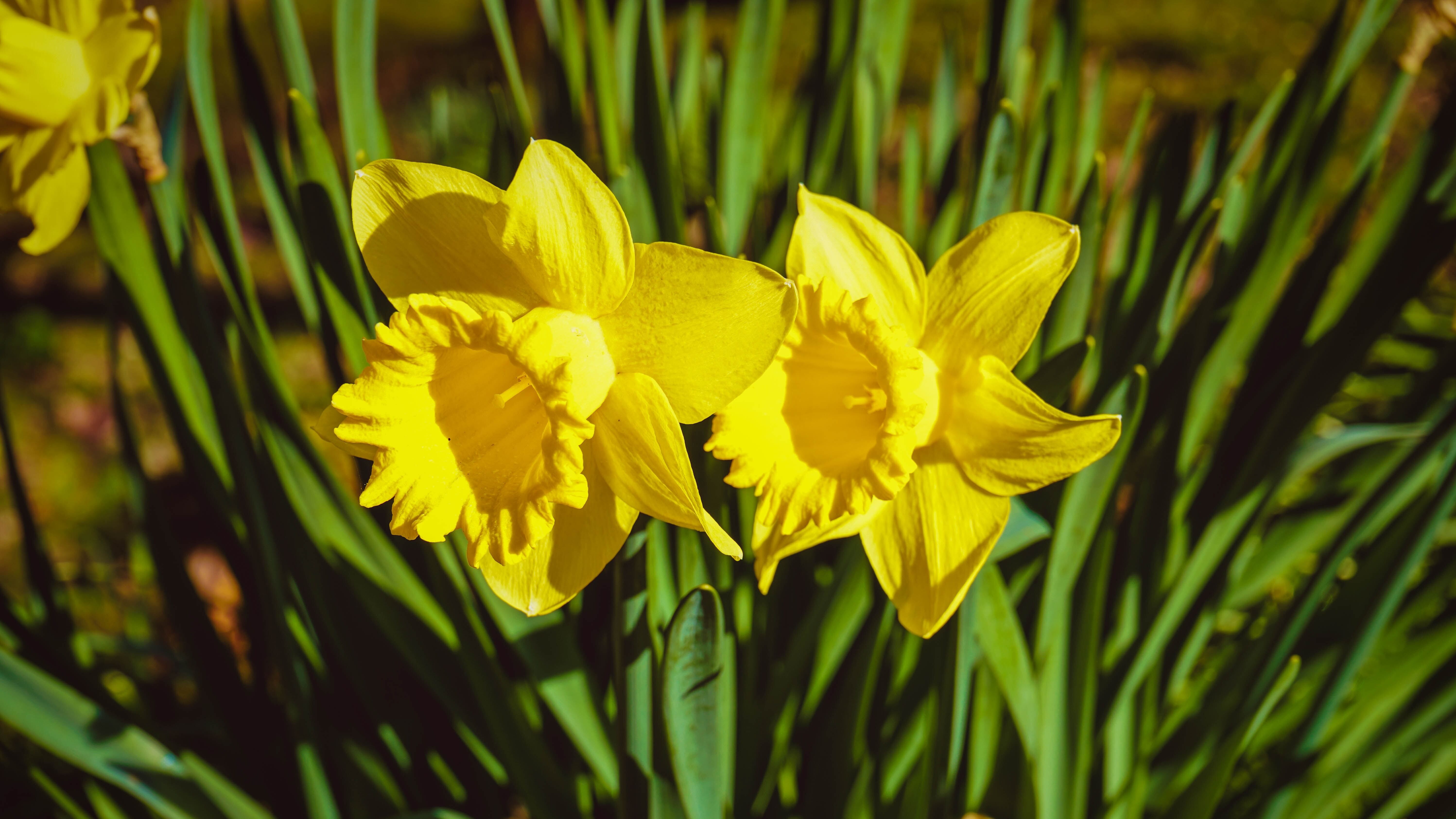27 березня - яке сьогодні свято і що не можна робити в цей день, традиції 27 березня - яке сьогодні свято і що не можна робити в цей день, традиції