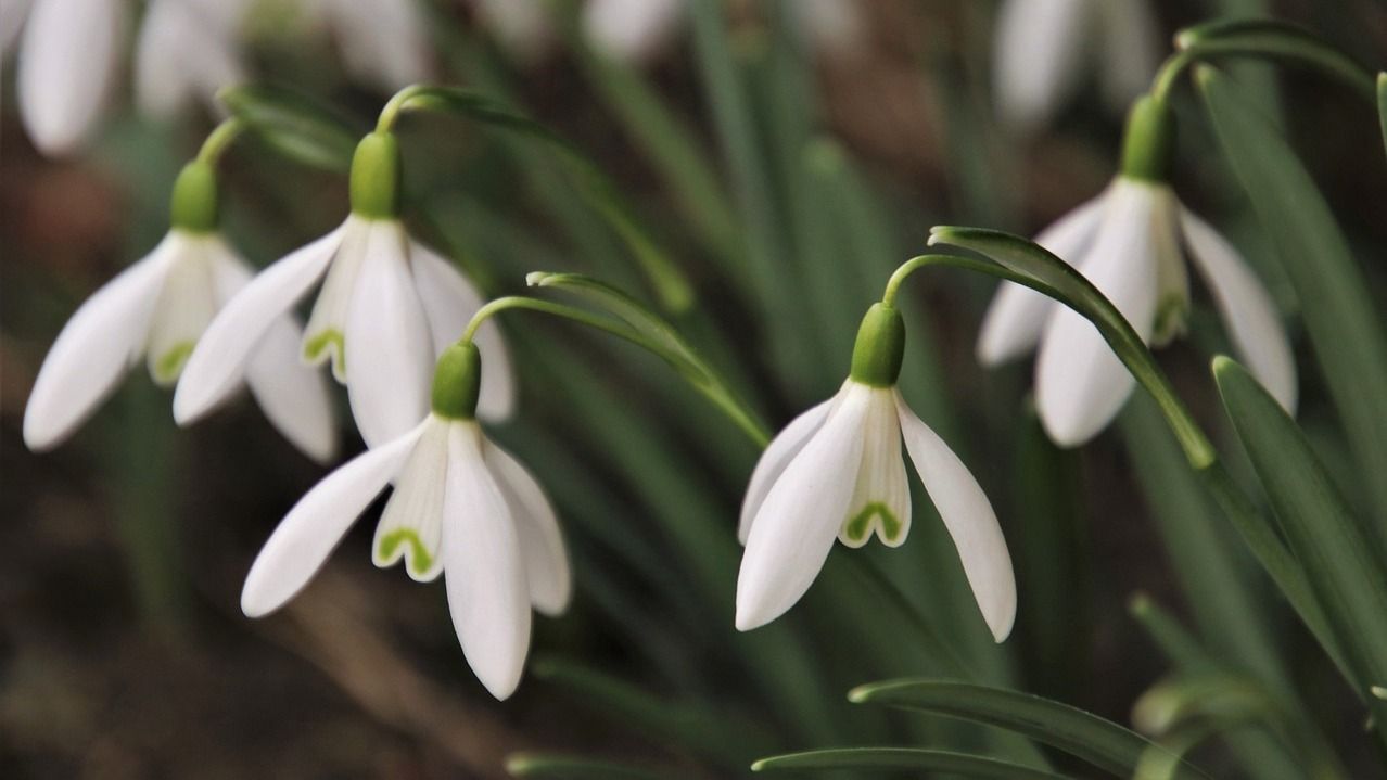 28 березня - яке сьогодні свято і що не можна робити, прикмети і заборони 28 березня - яке сьогодні свято і що не можна робити, прикмети і заборони
