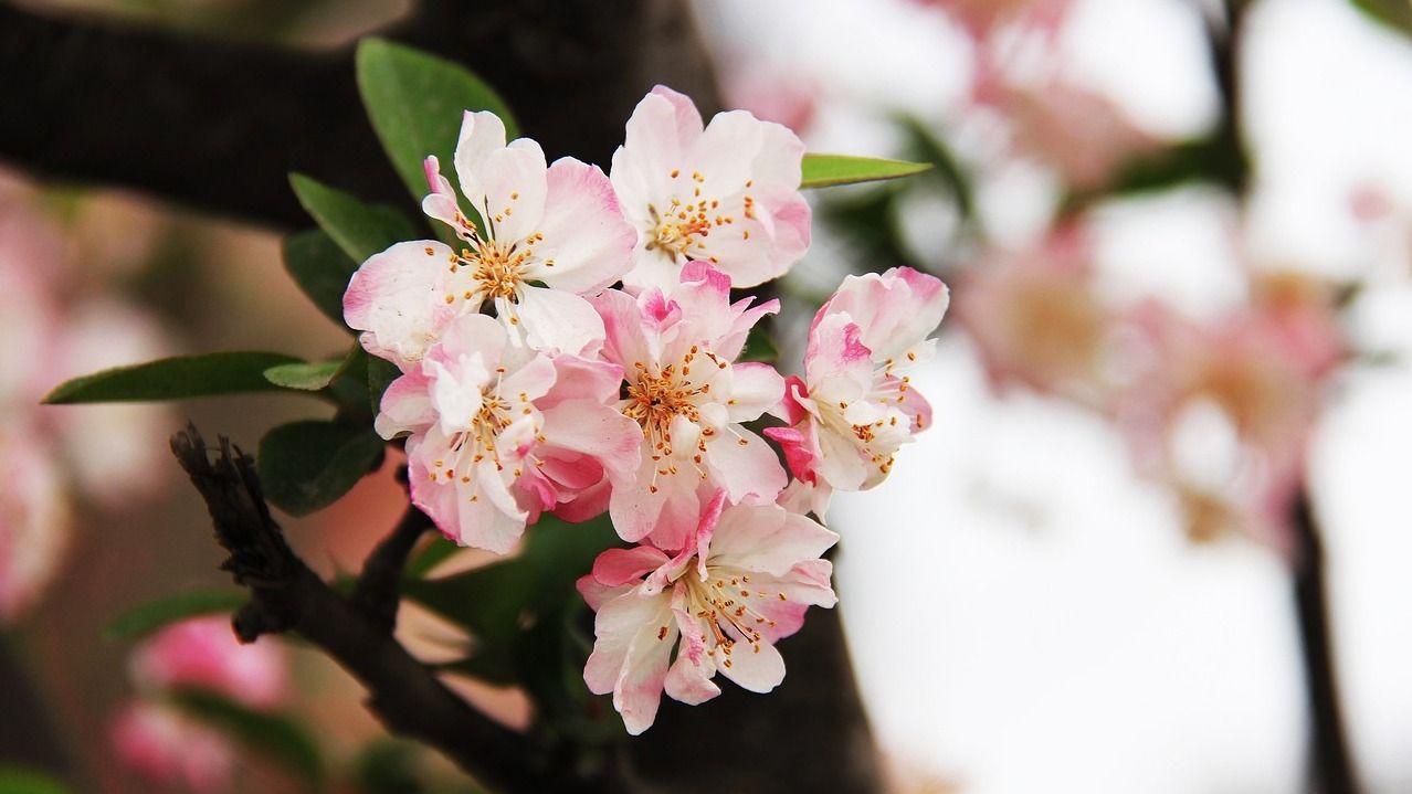 29 березня - яке сьогодні свято і що не можна робити, прикмети 29 березня - яке сьогодні свято і що не можна робити, прикмети