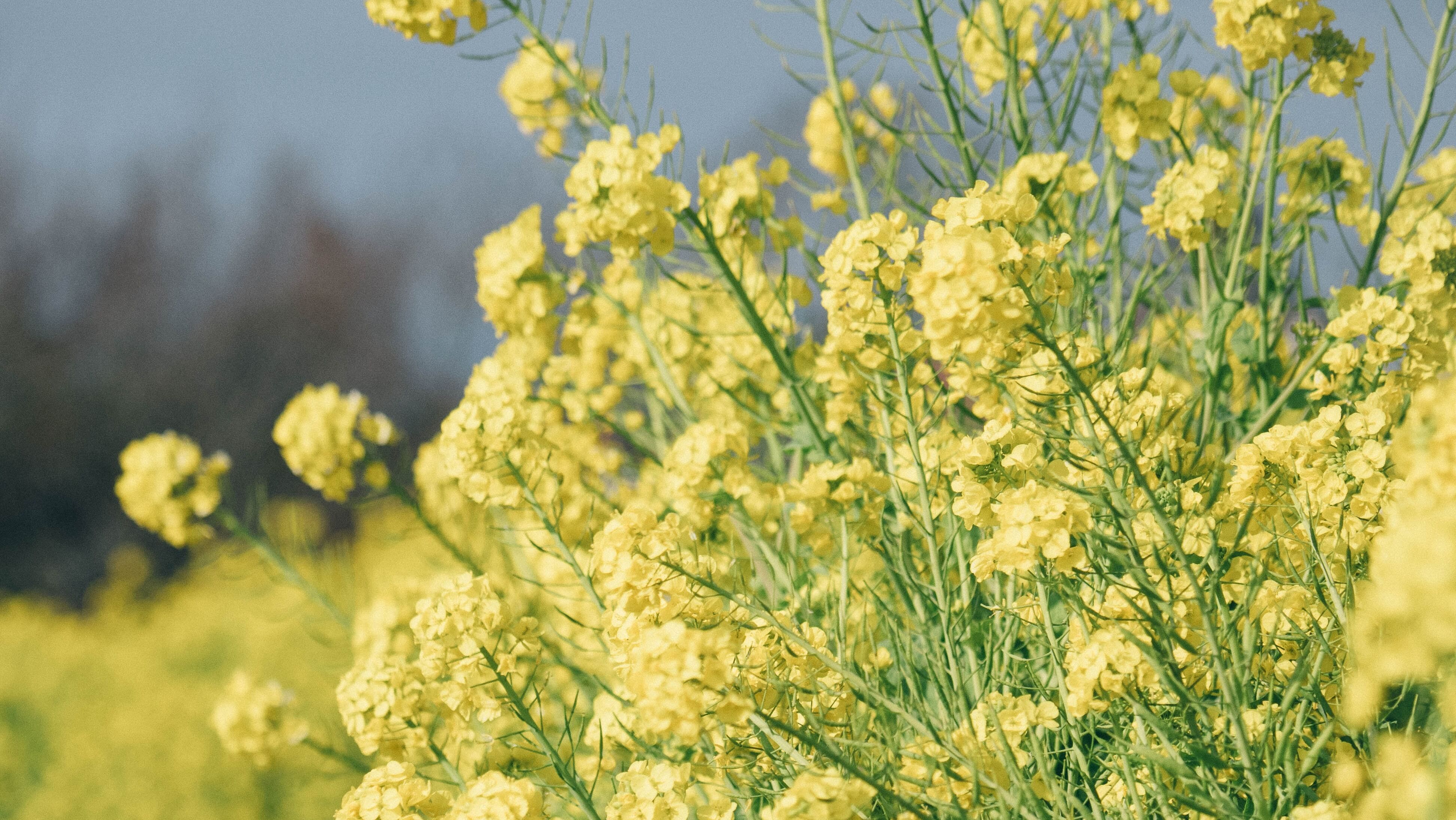 30 березня - яке сьогодні свято і що не можна робити у цей день, прикмети 30 березня - яке сьогодні свято і що не можна робити у цей день, прикмети
