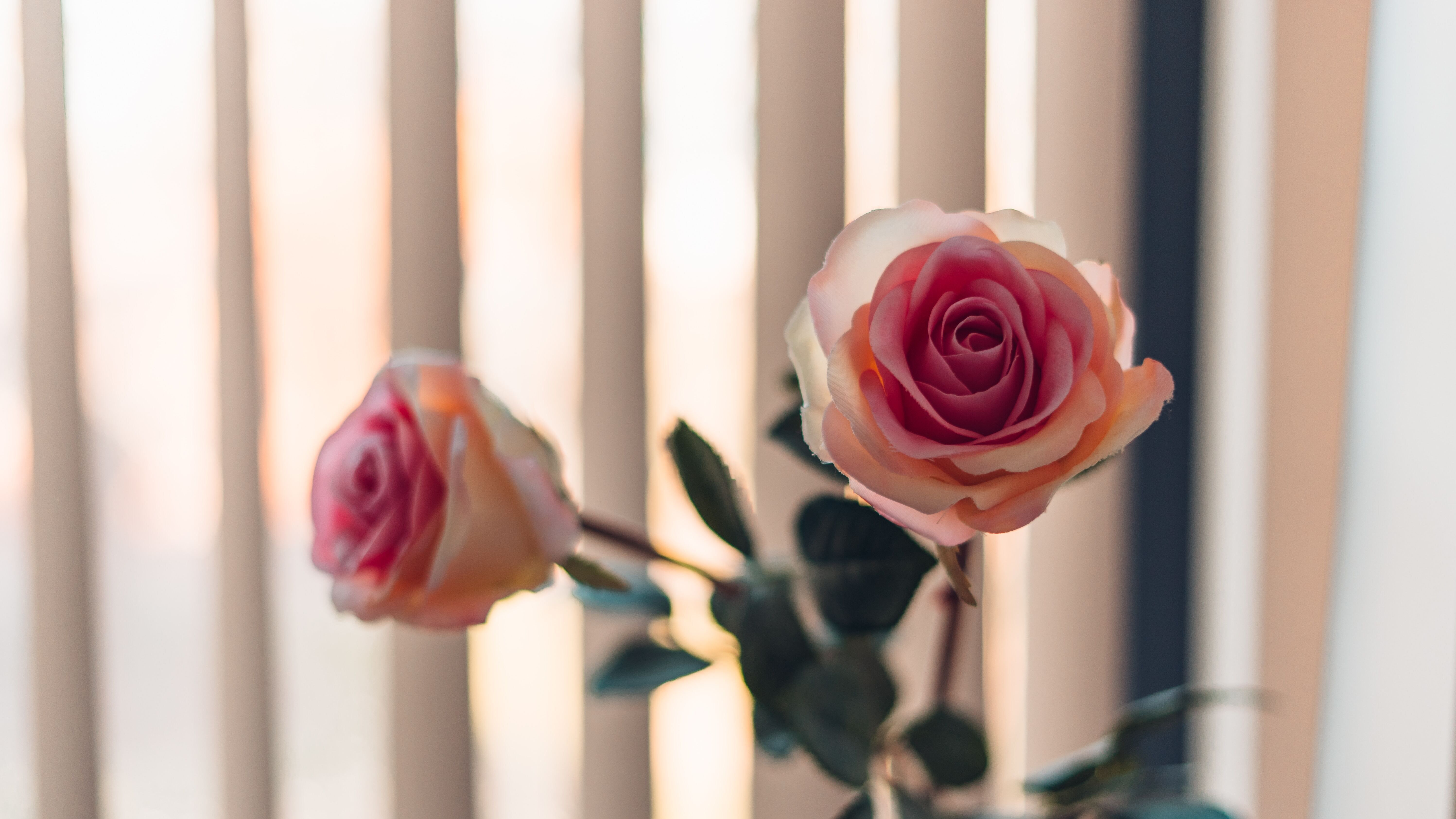 Как помыть жалюзи, не снимая из окна - советы и лайфхаки Как помыть жалюзи, не снимая из окна - советы и лайфхаки