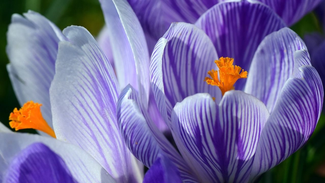 31 марта – какой сегодня праздник и что нельзя делать, традиции и приметы 31 марта – какой сегодня праздник и что нельзя делать, традиции и приметы