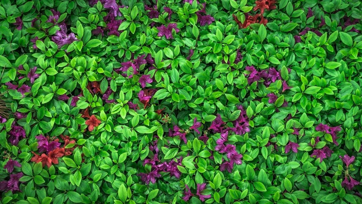 1 апреля – какой сегодня праздник и что нельзя делать, приметы и традиции 1 апреля – какой сегодня праздник и что нельзя делать, приметы и традиции