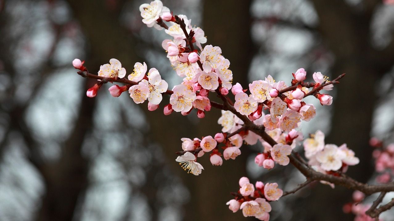 2 апреля – какой сегодня праздник и что нельзя делать, приметы и запреты 2 апреля – какой сегодня праздник и что нельзя делать, приметы и запреты