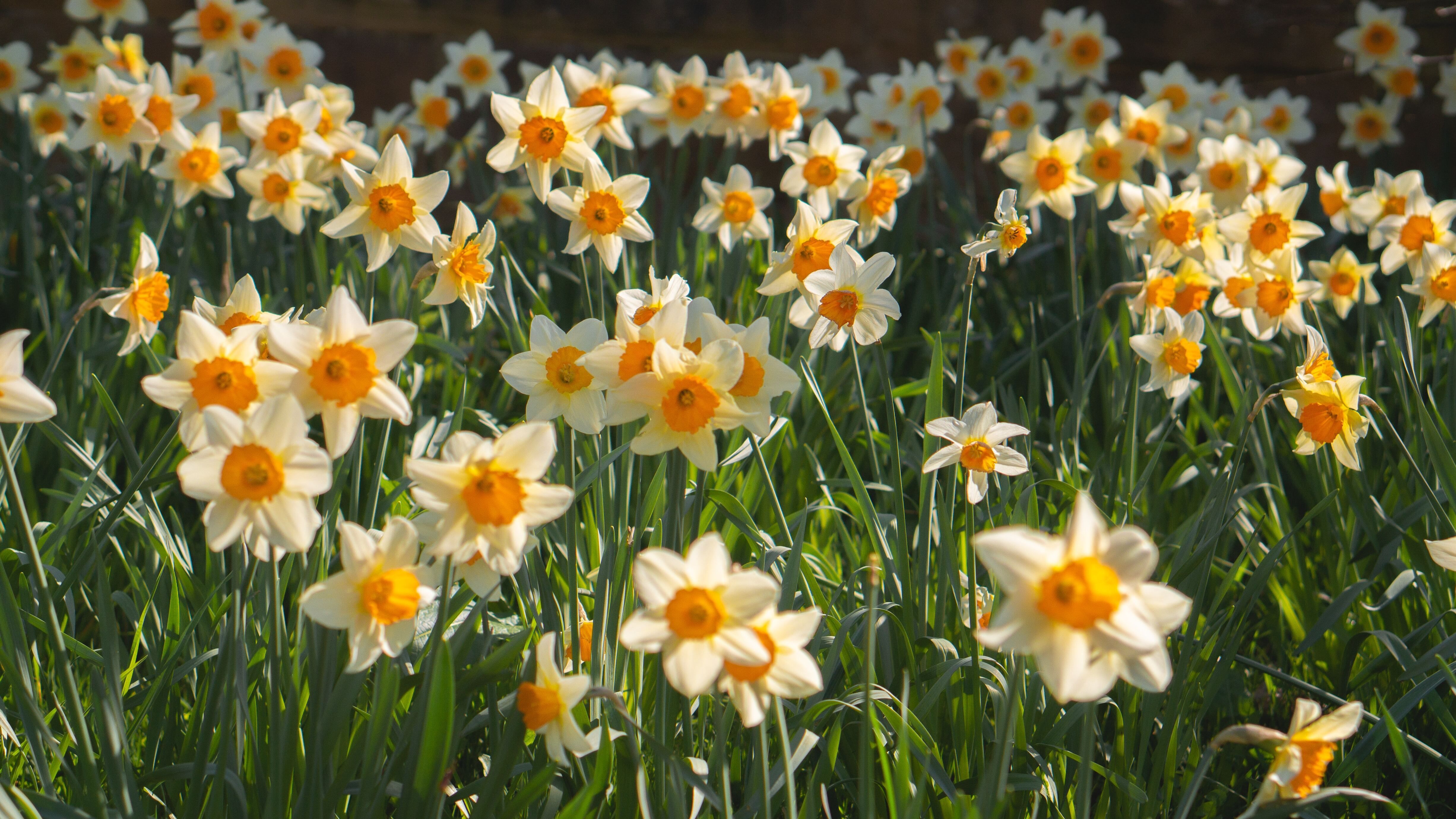 3 квітня - яке сьогодні свято і що не можна робити в цей день, прикмети 3 квітня - яке сьогодні свято і що не можна робити в цей день, прикмети