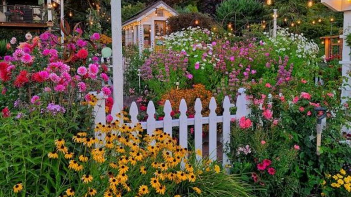 Які квіти не можна садити біля будинку Які квіти не можна садити біля будинку