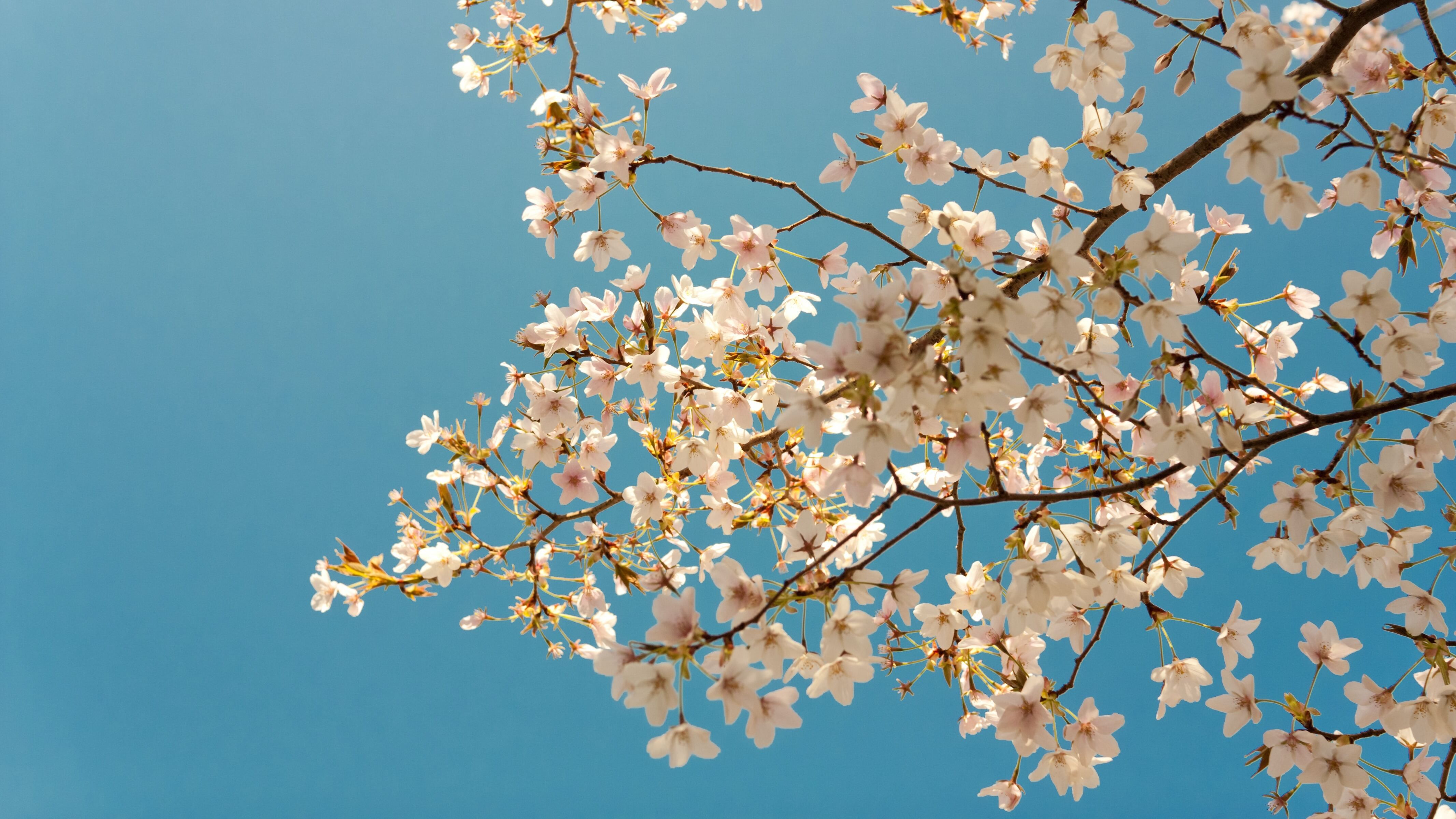 4 апреля – какой сегодня праздник и что нельзя делать, приметы и день в мире 4 апреля – какой сегодня праздник и что нельзя делать, приметы и день в мире