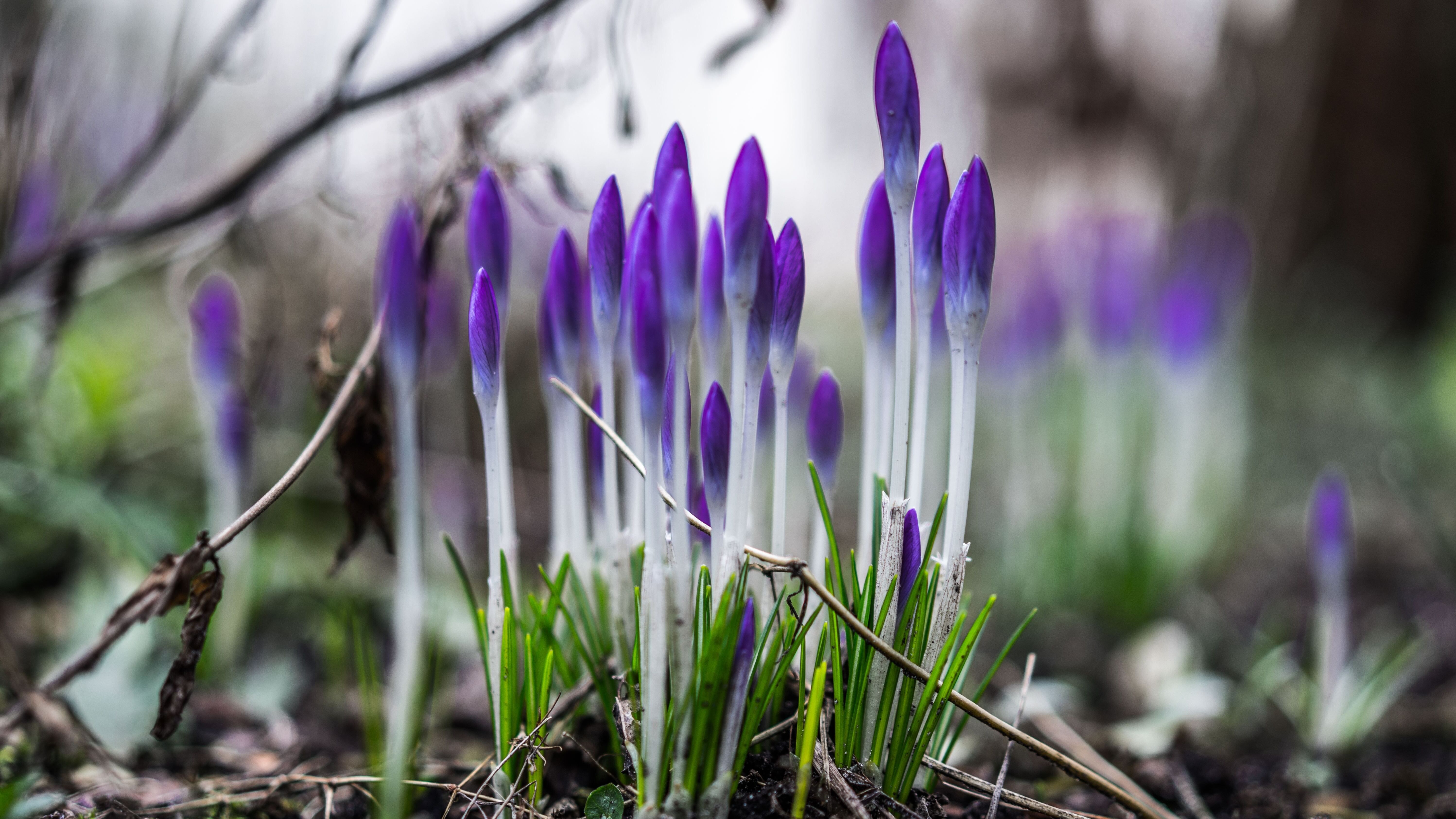 5 апреля – какой сегодня праздник и что нельзя делать, приметы и традиции 5 апреля – какой сегодня праздник и что нельзя делать, приметы и традиции