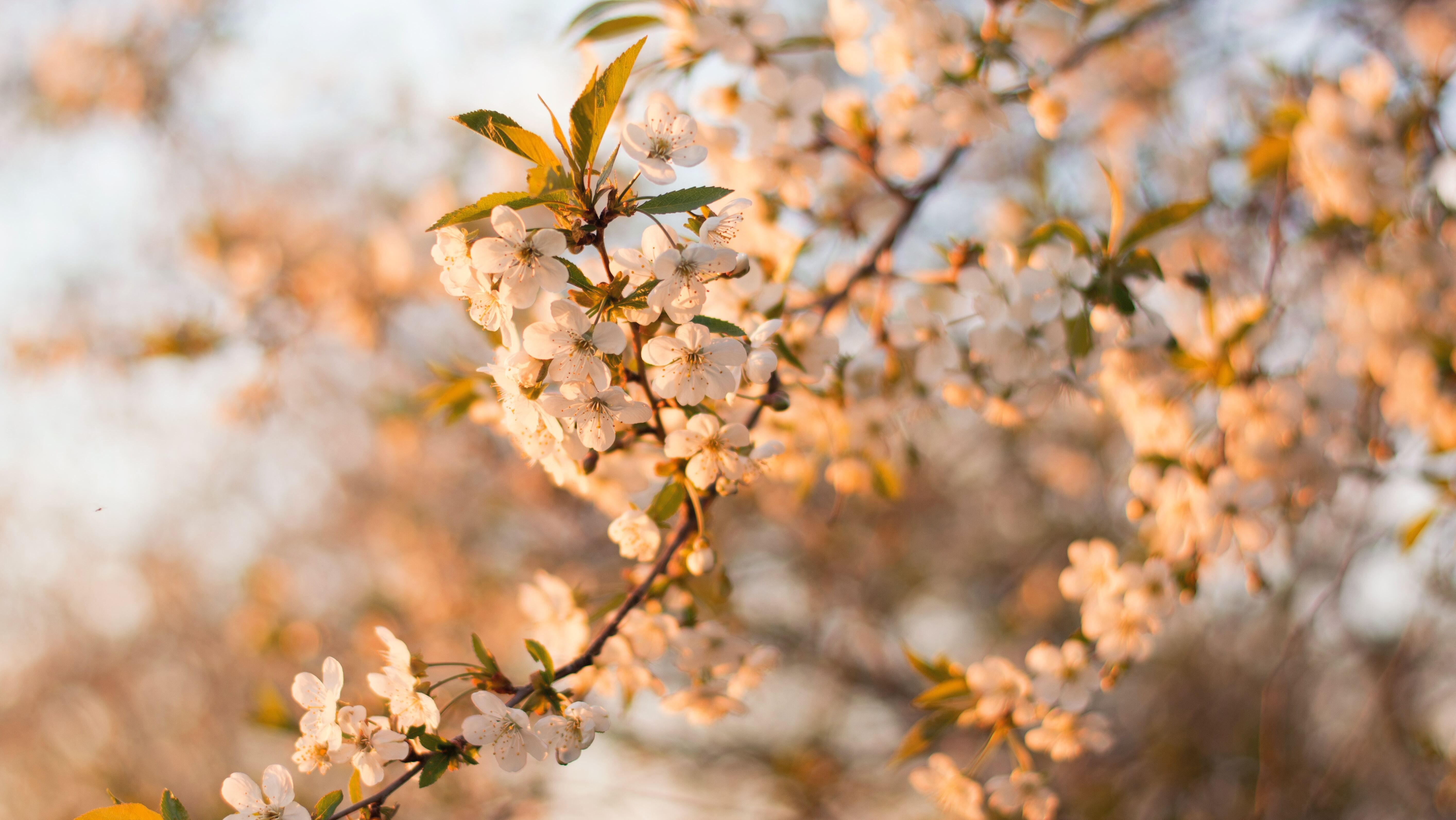 6 квітня - яке сьогодні свято і що не можна робити, іменини і прикмети 6 квітня - яке сьогодні свято і що не можна робити, іменини і прикмети