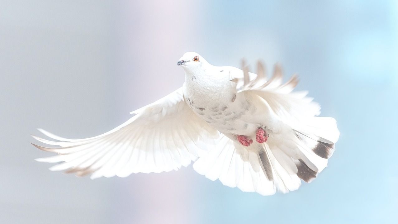 7 квітня - яке сьогодні свято і що не можна робити, іменини і заборони 7 квітня - яке сьогодні свято і що не можна робити, іменини і заборони