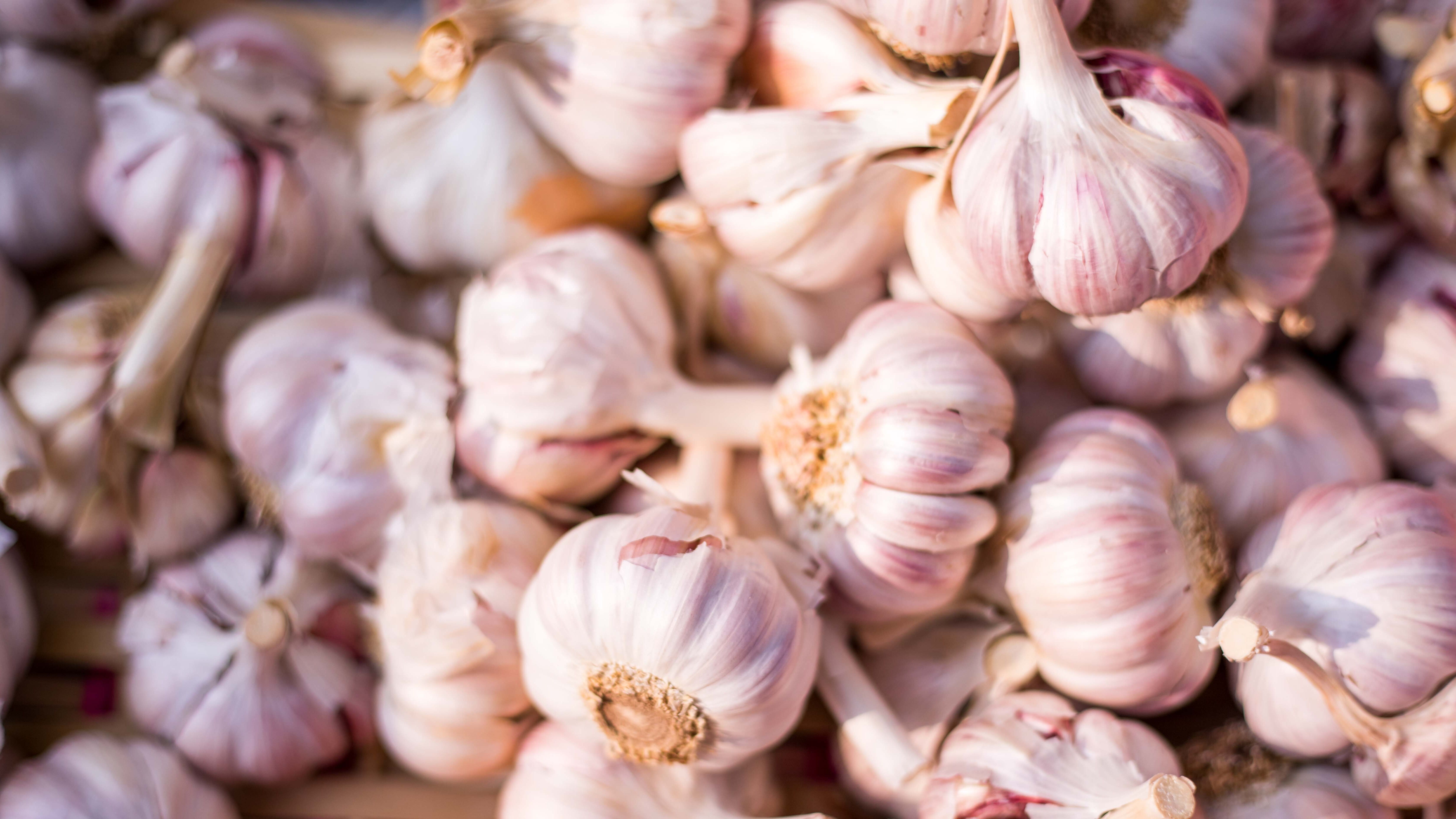 Коли садити часник навесні 2023 і як його садити - поради і лайфхаки Коли садити часник навесні 2023 і як його садити - поради і лайфхаки