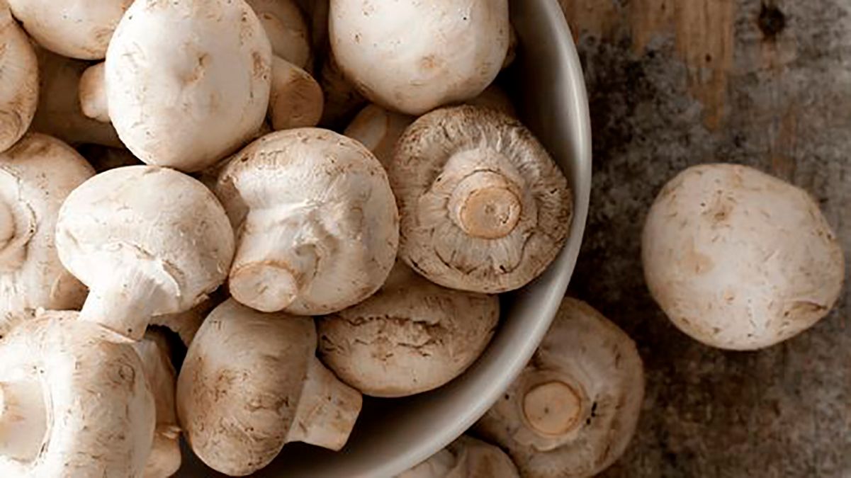 Як виростити печериці в домашніх умовах – простий метод для всіх Як виростити печериці в домашніх умовах – простий метод для всіх