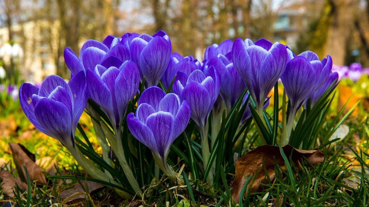 10 квітня - яке сьогодні свято і що не можна робити, прикмети 10 квітня - яке сьогодні свято і що не можна робити, прикмети
