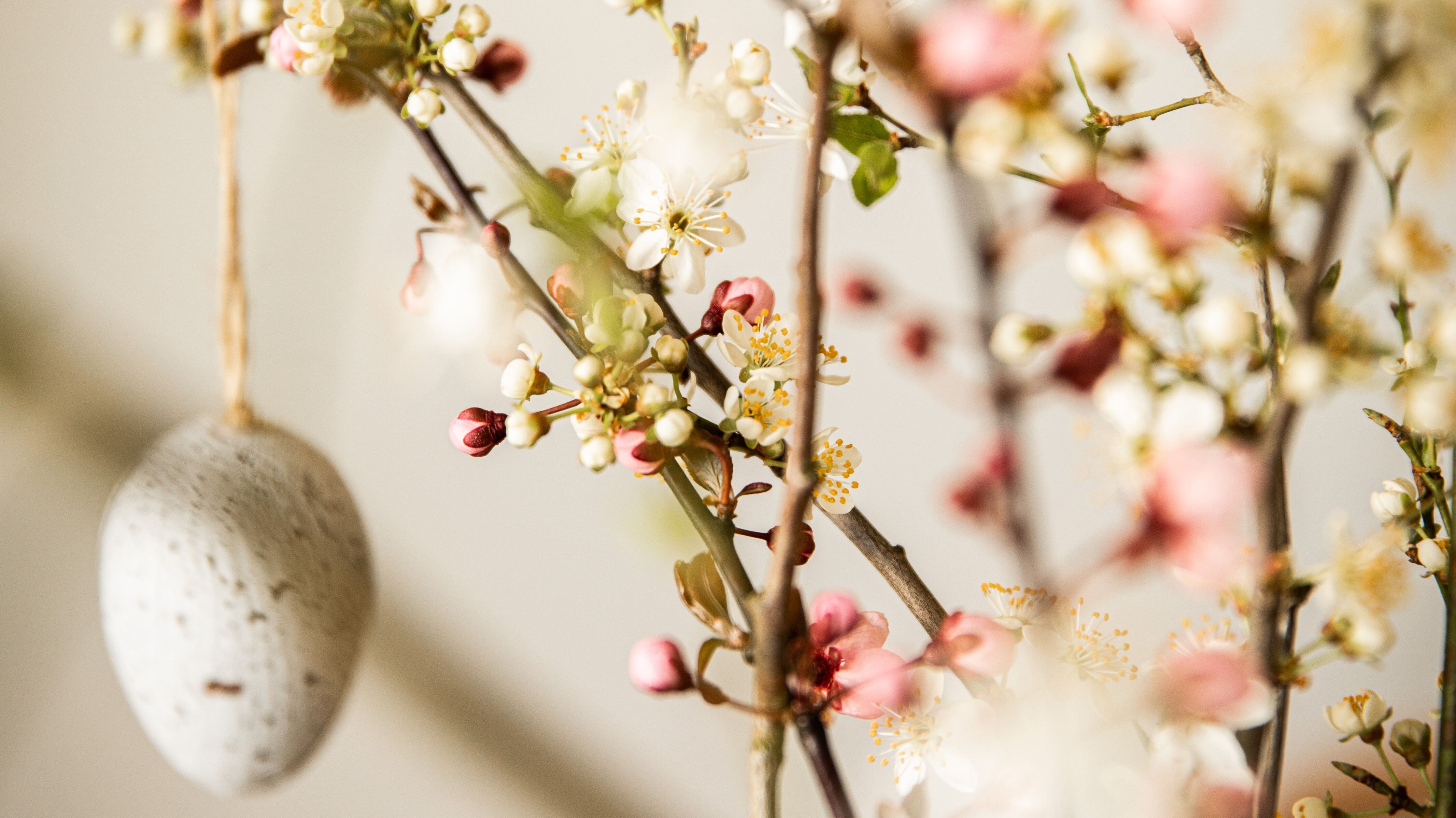 16 апреля – какой сегодня праздник и что нельзя делать в Пасху 16 апреля – какой сегодня праздник и что нельзя делать в Пасху