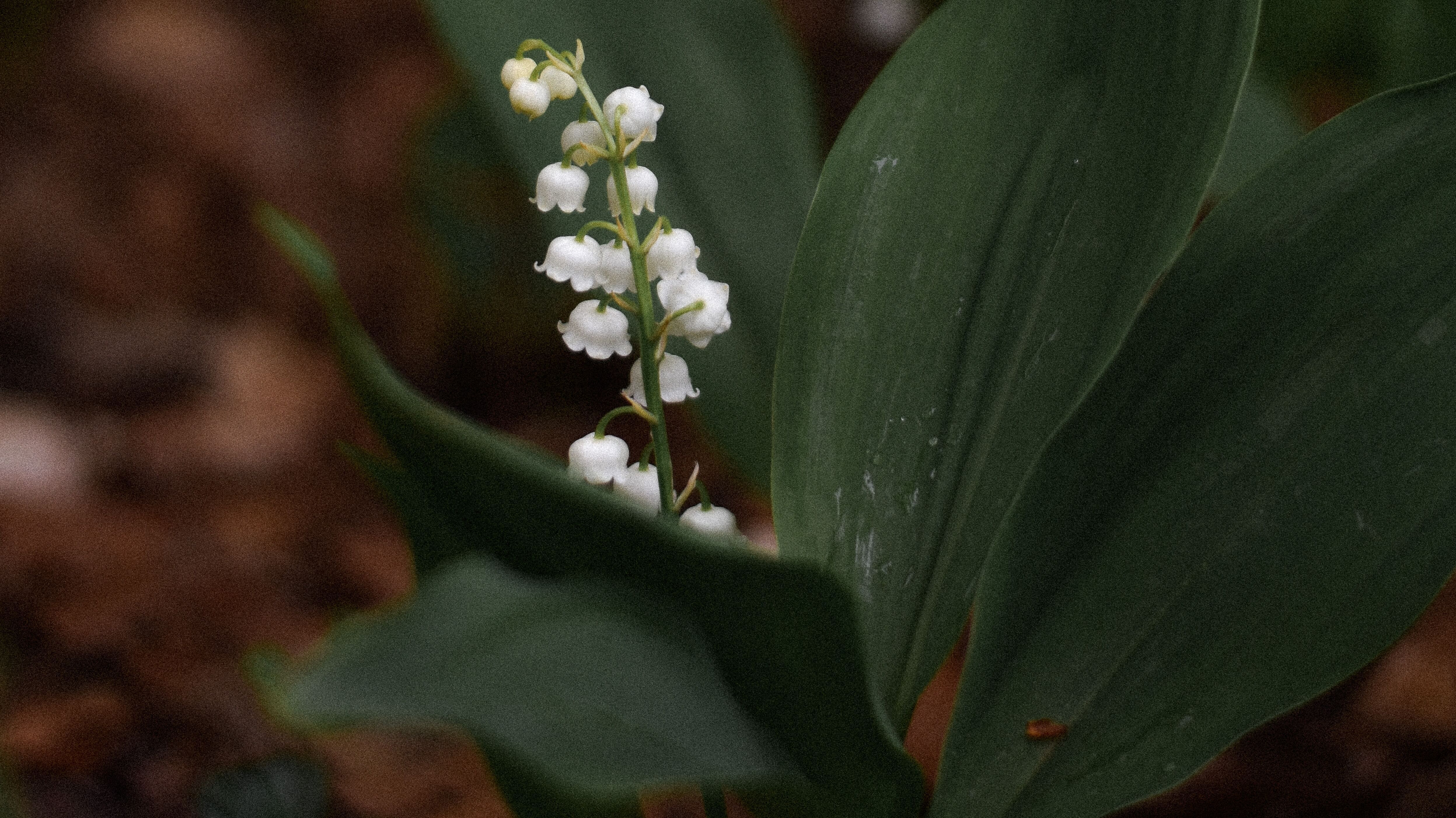 19 квітня - яке сьогодні свято і що не можна робити, іменини 19 квітня - яке сьогодні свято і що не можна робити, іменини