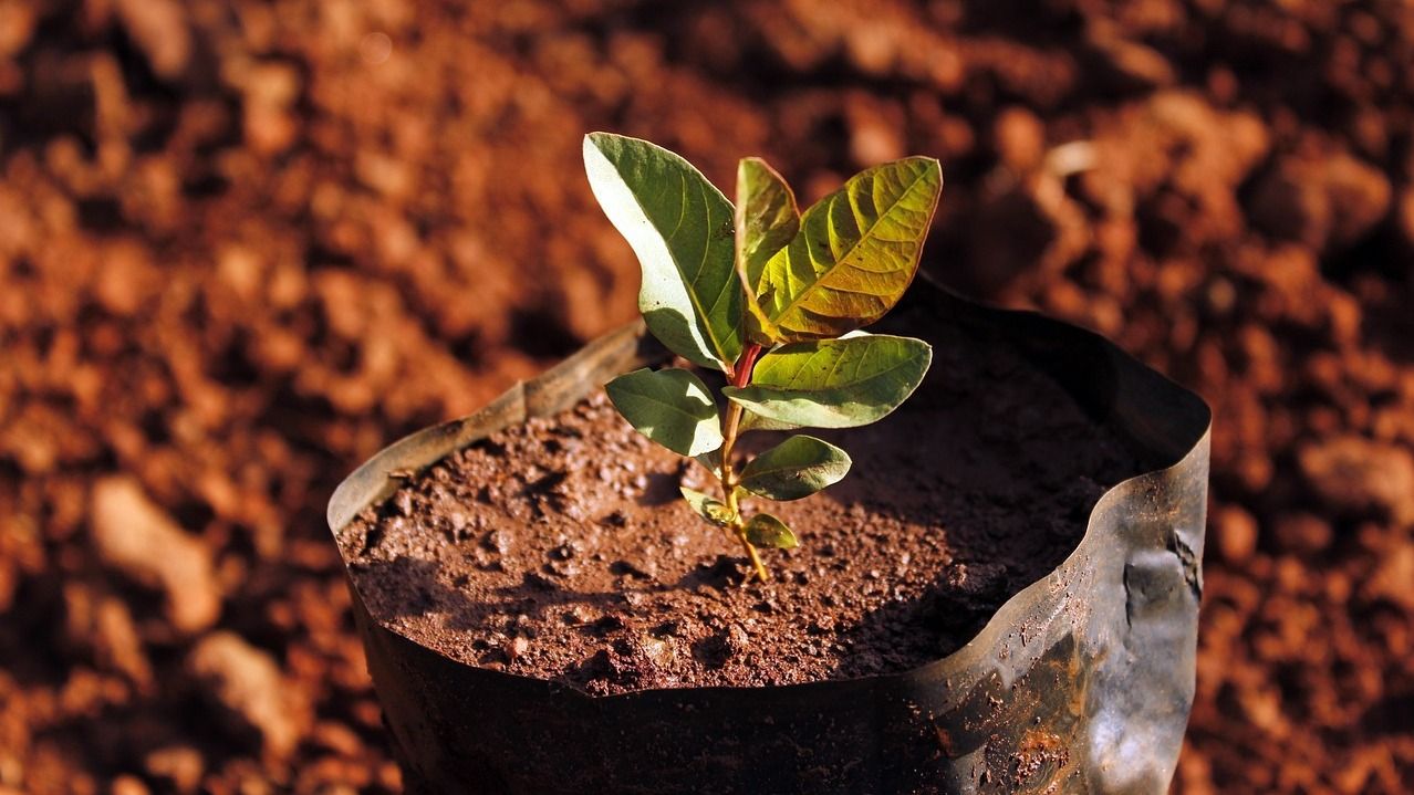Знаки зодіаку, життя яких змінить сонячне затемнення - гороскоп Знаки зодіаку, життя яких змінить сонячне затемнення - гороскоп