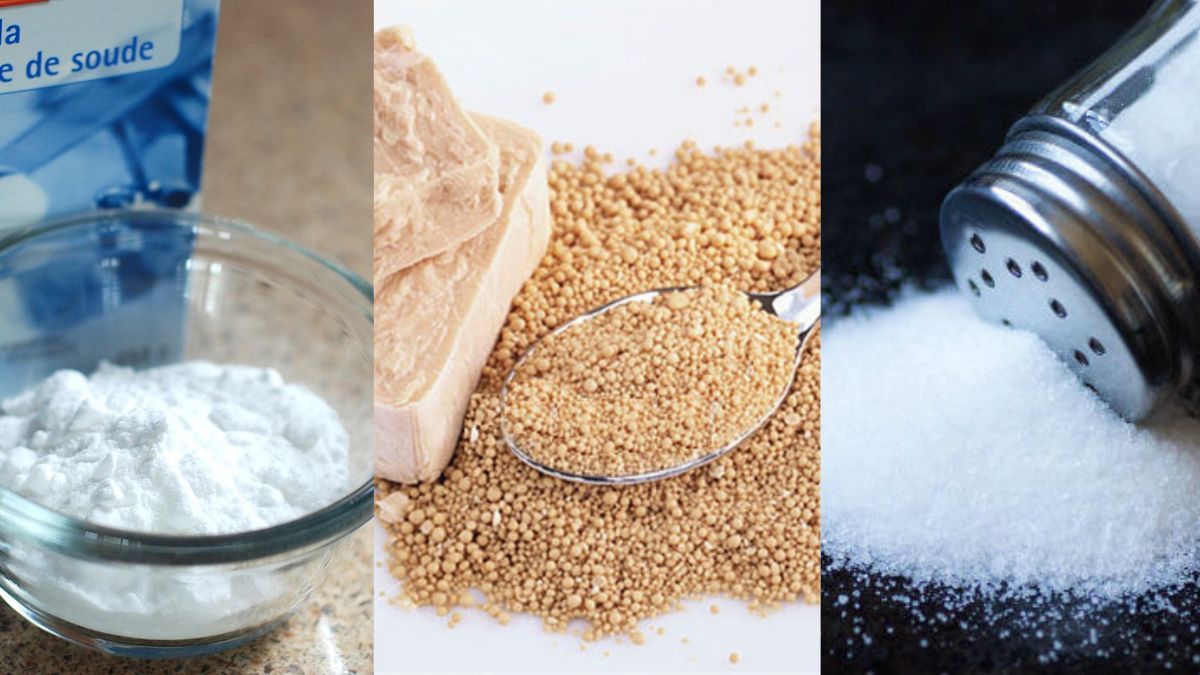 Какие удобрения опасны для растений Какие удобрения опасны для растений