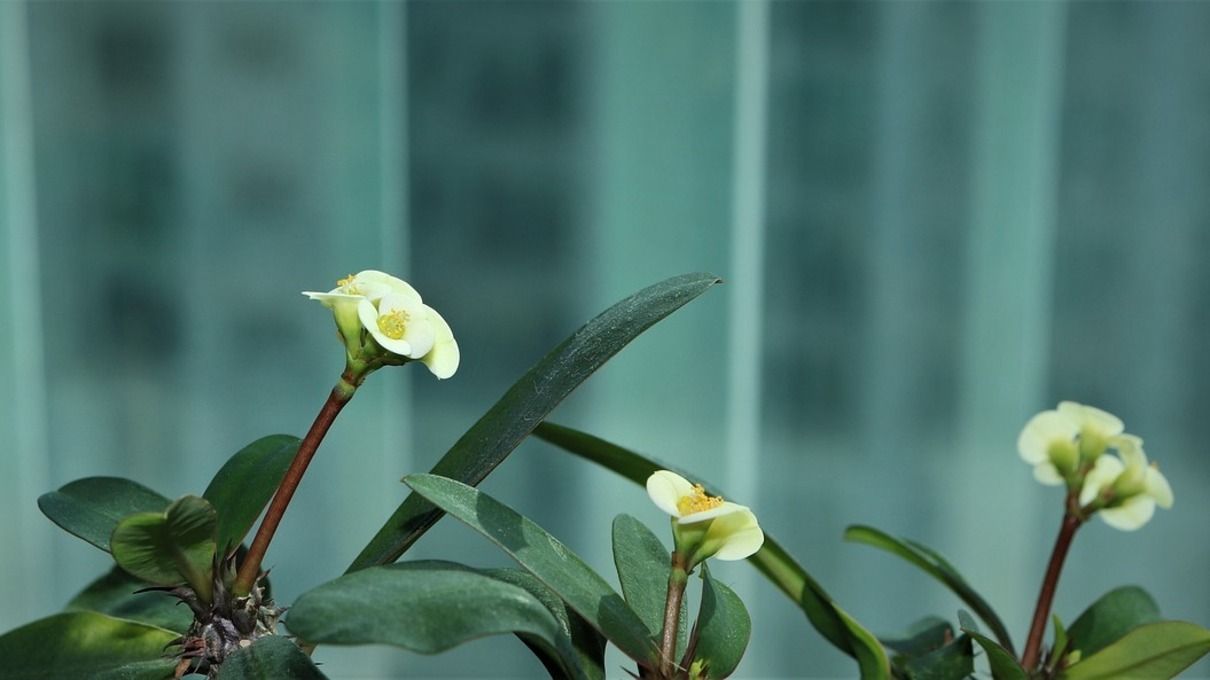 Какой 21 апреля праздник – что нельзя делать сегодня, приметы Какой 21 апреля праздник – что нельзя делать сегодня, приметы