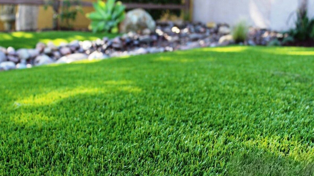 Чим удобрити газон Чим удобрити газон