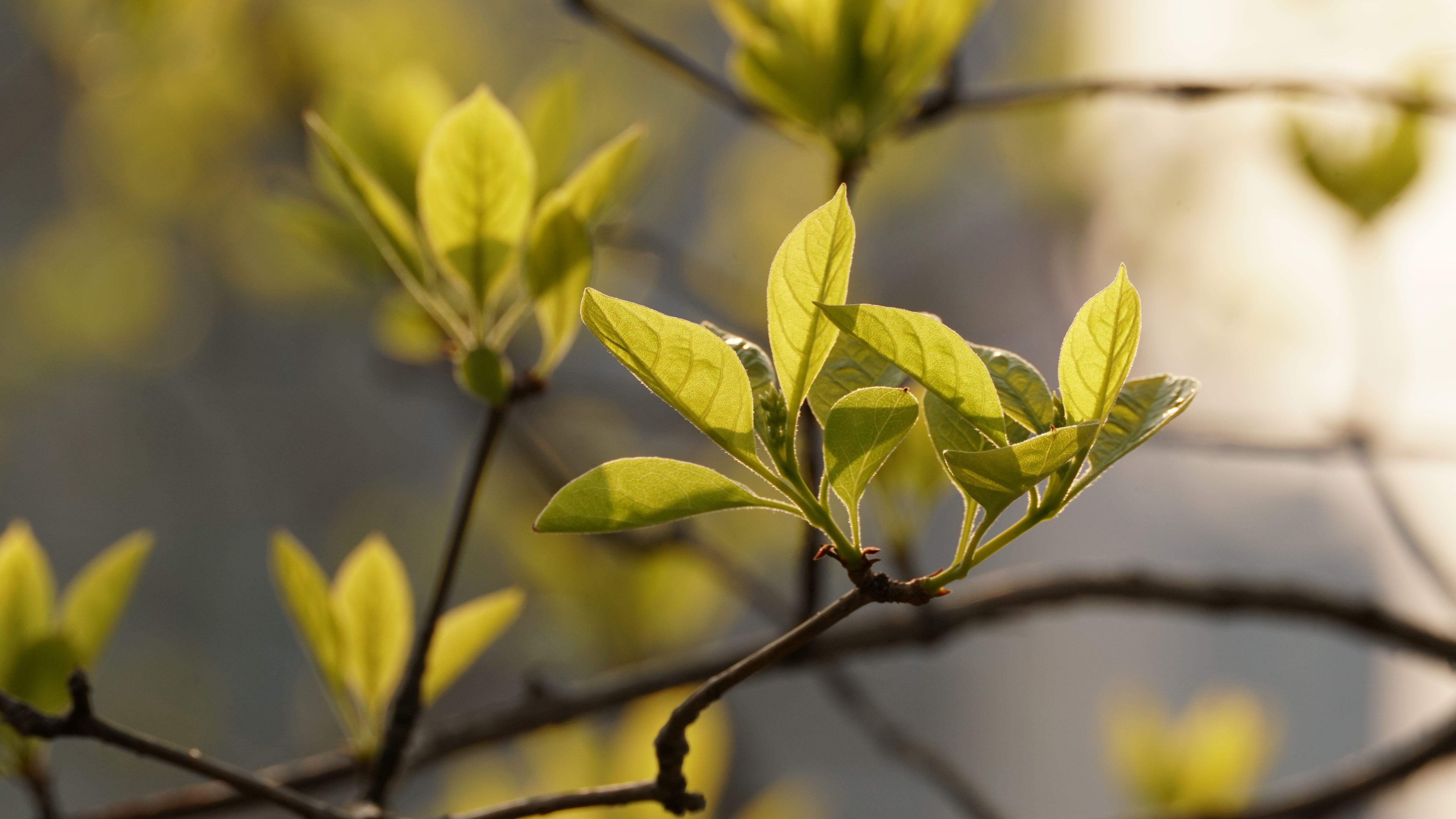 26 квітня - яке сьогодні свято, що не можна робити сьогодні 26 квітня - яке сьогодні свято, що не можна робити сьогодні