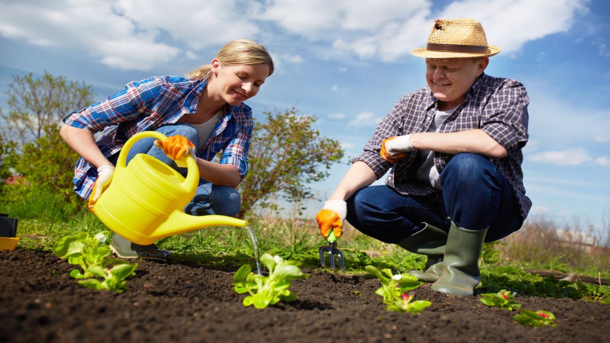 Сприятливі дні для садіння картоплі та грядок у травні Сприятливі дні для садіння картоплі та грядок у травні