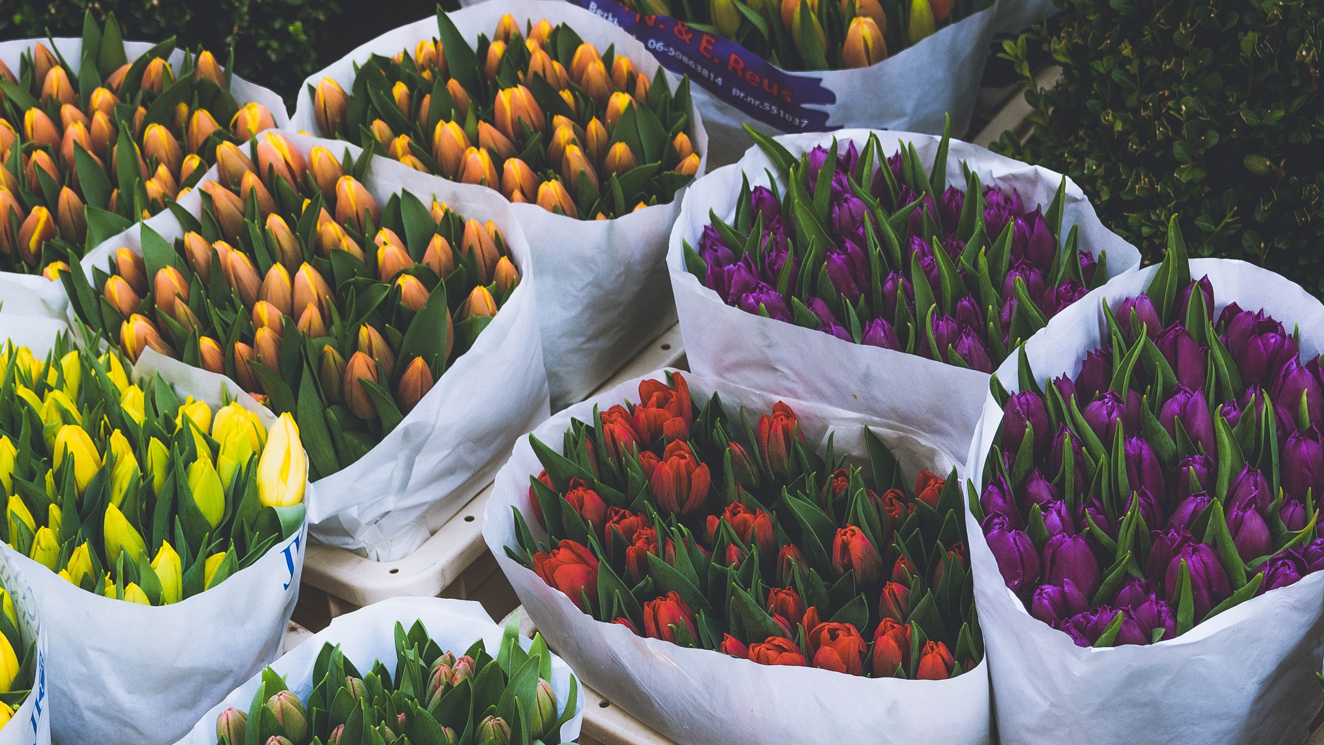 28 апреля – какой сегодня праздник и что нельзя делать сегодня 28 апреля – какой сегодня праздник и что нельзя делать сегодня