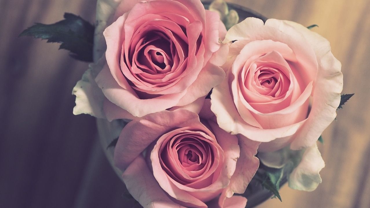 Привітання з Днем ангела Ірини 2023 - побажання у віршах і прозі Привітання з Днем ангела Ірини 2023 - побажання у віршах і прозі