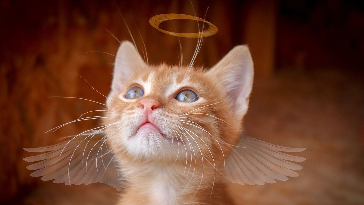 День ангела Ірини 2023 - картинки привітання та листівки у фото День ангела Ірини 2023 - картинки привітання та листівки у фото