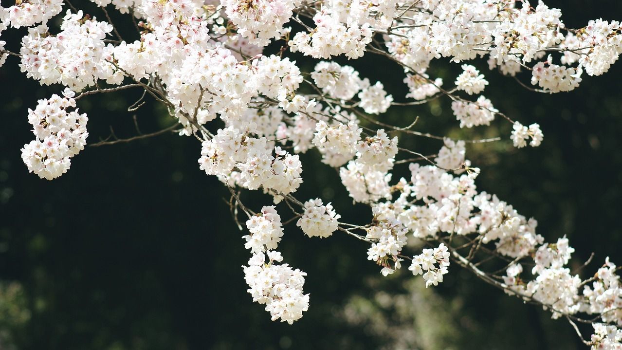 29 апреля 2023 года - какой сегодня праздник и что нельзя делать, кто празднует именины 29 апреля 2023 года - какой сегодня праздник и что нельзя делать, кто празднует именины