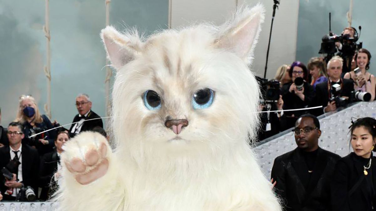 Джаред Лето в образе кошки Шупетт Джаред Лето в образе кошки Шупетт