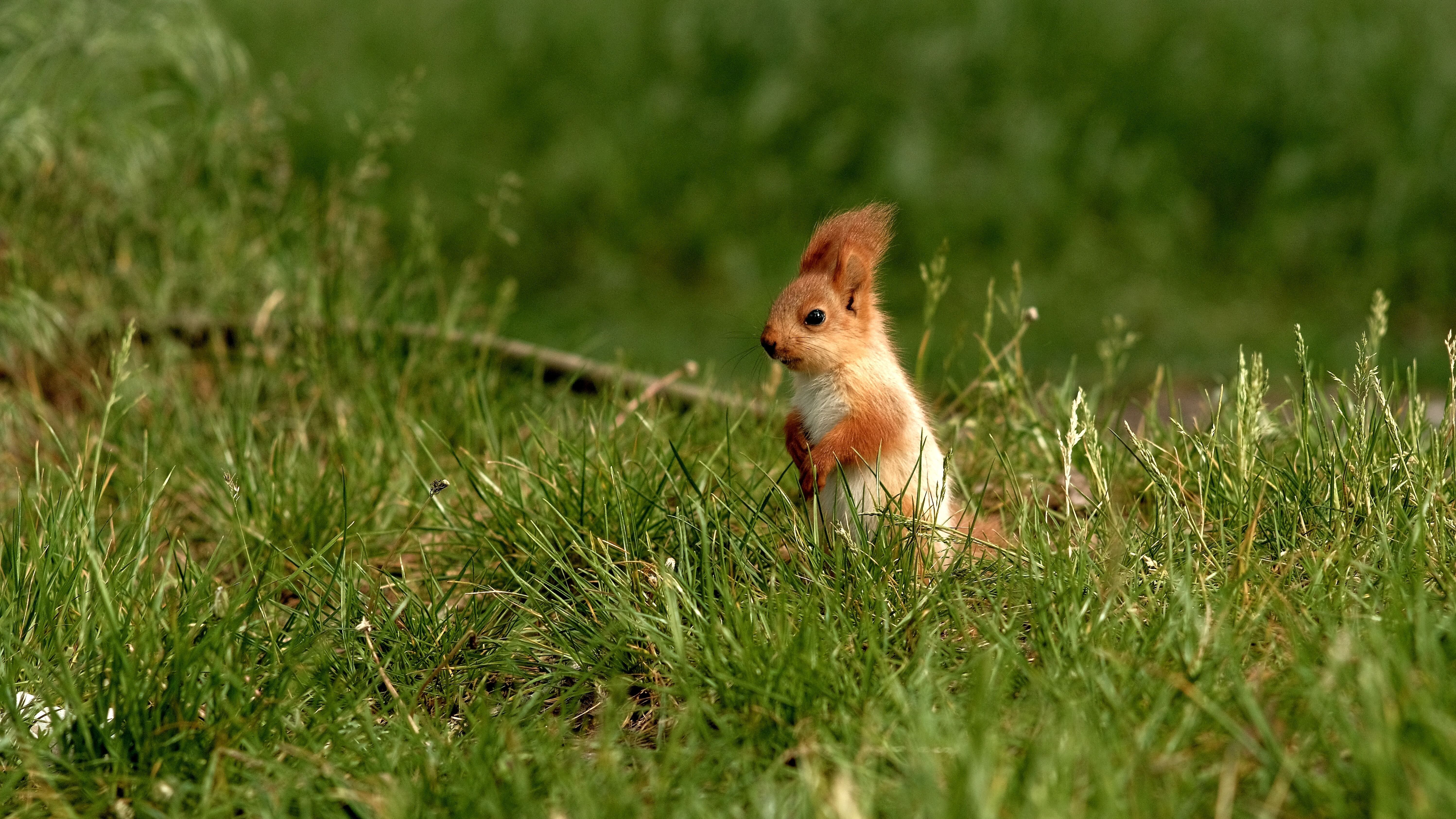 4 мая – какой сегодня праздник, что нельзя делать и приметы 4 мая – какой сегодня праздник, что нельзя делать и приметы