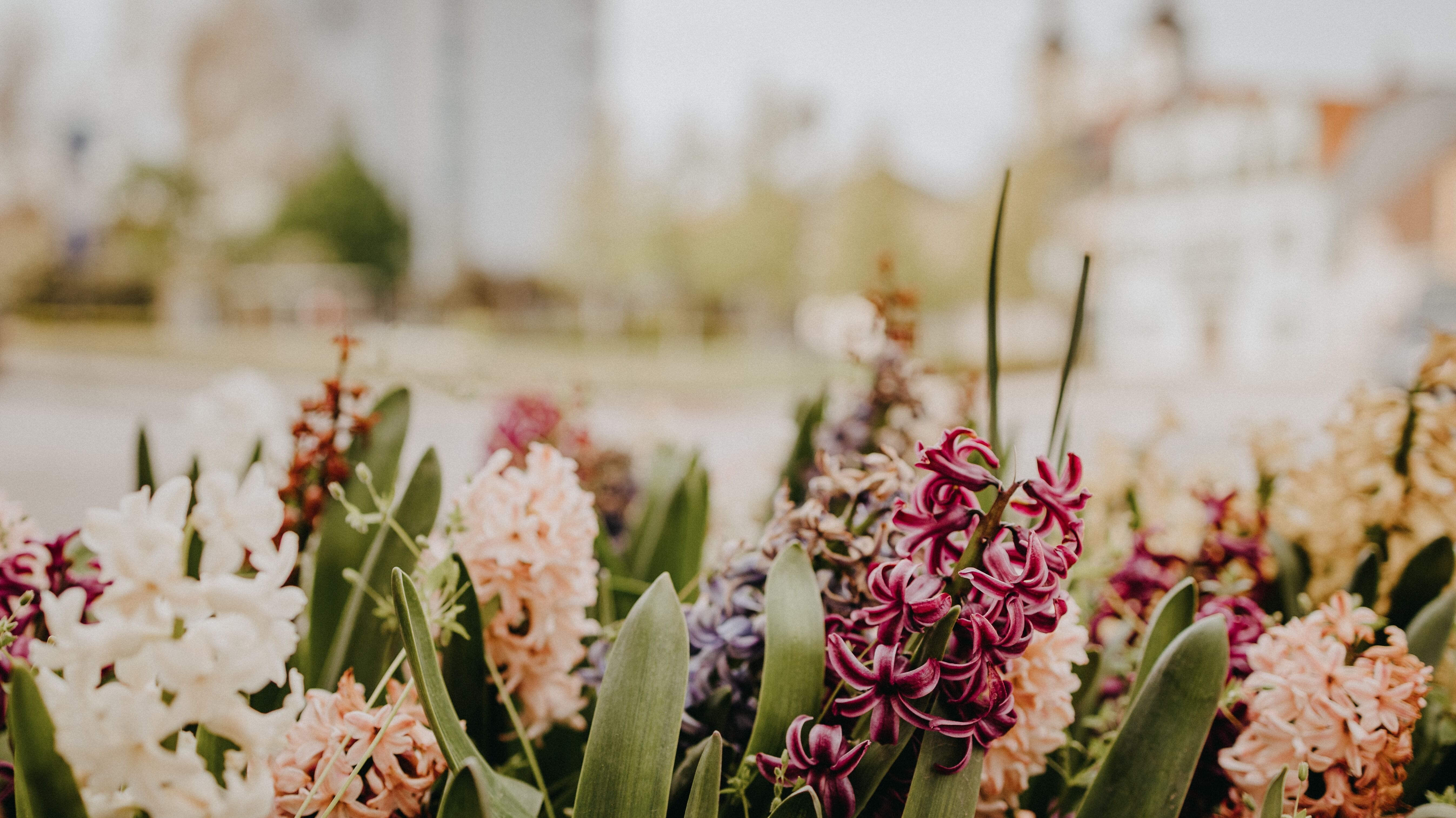 5 мая 2023 года - какой сегодня праздник и что нельзя делать, кто празднует именины 5 мая 2023 года - какой сегодня праздник и что нельзя делать, кто празднует именины