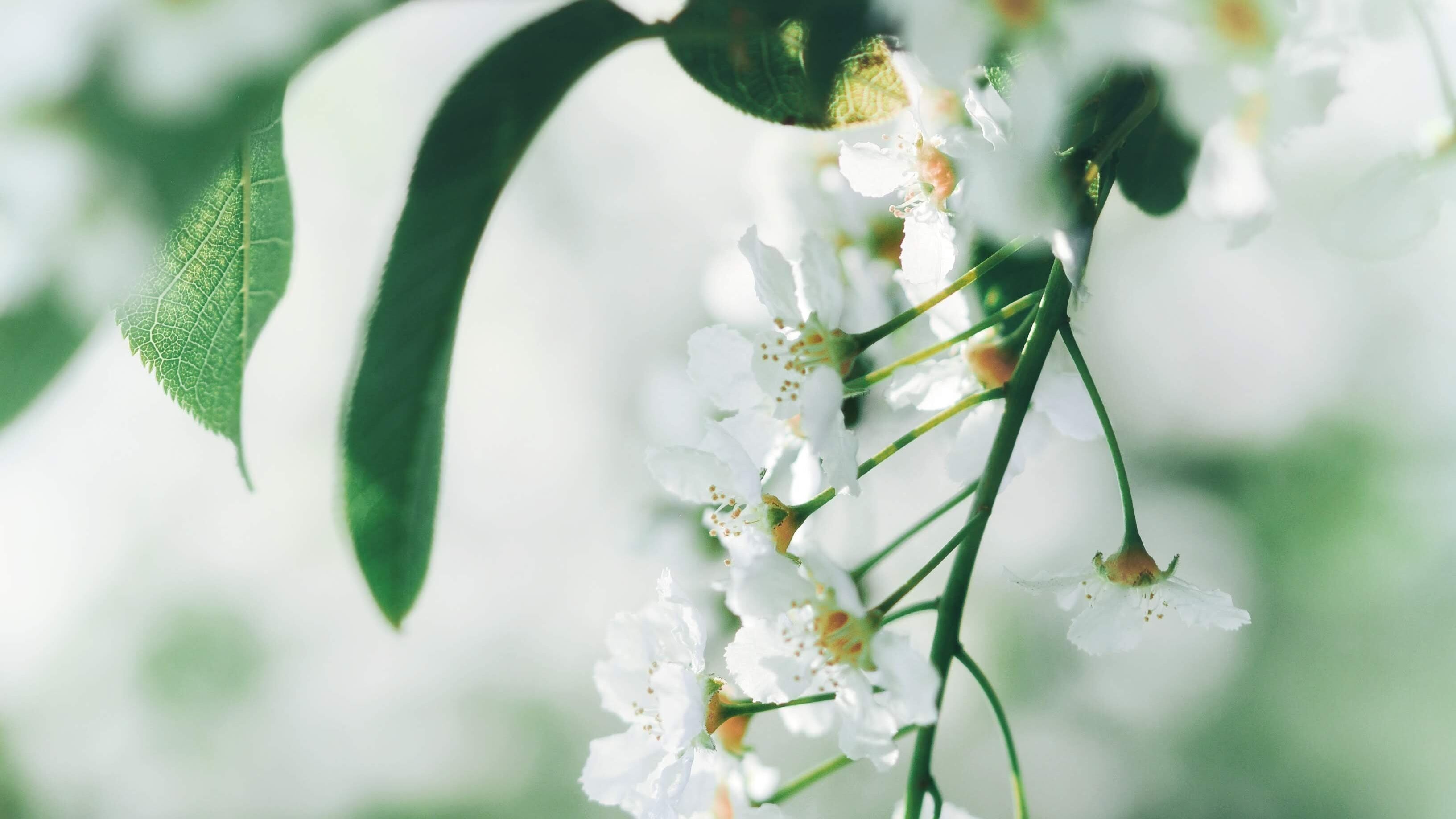 7 мая – какой сегодня праздник и что нельзя делать 7 мая – какой сегодня праздник и что нельзя делать