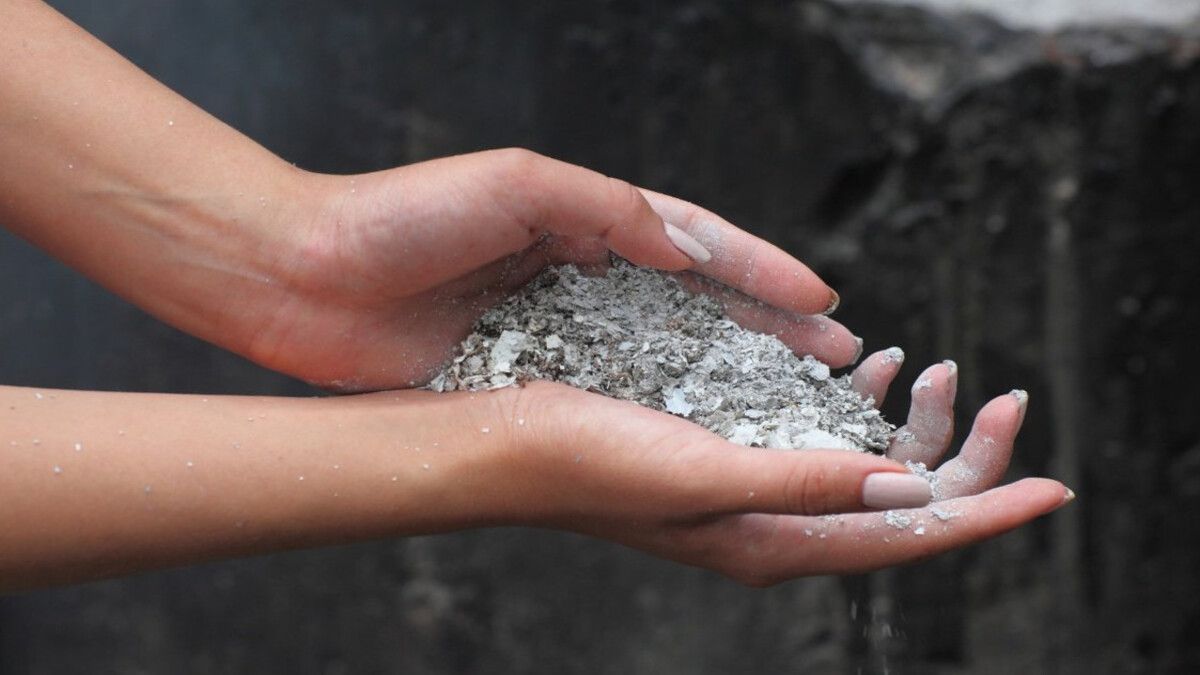 Користь та шкода попелу Користь та шкода попелу